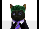 https://image.noelshack.com/fichiers/2018/23/3/1528308480-chatsjoker.png