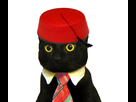 https://image.noelshack.com/minis/2018/23/3/1528308482-chatarabe.png