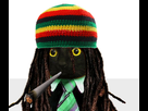 https://image.noelshack.com/minis/2018/23/3/1528308483-chatrasta.png