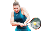 https://image.noelshack.com/fichiers/2018/23/4/1528400905-halep1.png