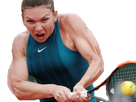 https://image.noelshack.com/fichiers/2018/23/4/1528400976-halep.png