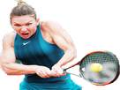 https://image.noelshack.com/fichiers/2018/23/4/1528400988-halep2.png