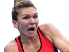 https://image.noelshack.com/fichiers/2018/23/4/1528401515-halep0.png