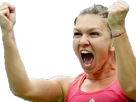 https://image.noelshack.com/fichiers/2018/23/4/1528401941-halep2.png