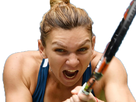 https://image.noelshack.com/fichiers/2018/23/4/1528402178-halep3.png