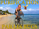 https://image.noelshack.com/fichiers/2018/23/5/1528409645-purification-bugs.png