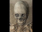 https://image.noelshack.com/minis/2018/23/5/1528468680-skull-part-alien-body-humanoid-fossilized-old-excavations-archaeologist-secret-materials-extraterrestrial-civilization-106818605.png