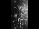 https://image.noelshack.com/fichiers/2018/23/5/1528478675-image.png