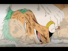 https://image.noelshack.com/fichiers/2018/23/6/1528551091-1500121055-344567zoro.gif