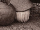 https://image.noelshack.com/fichiers/2018/23/6/1528559839-52-6oxaiznk.png