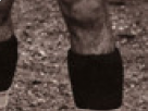 https://image.noelshack.com/fichiers/2018/23/6/1528559840-48-6oxaiznk.png