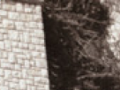 https://image.noelshack.com/fichiers/2018/23/6/1528560112-6-h0z4w10i.png