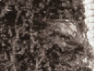 https://image.noelshack.com/fichiers/2018/23/6/1528560114-13-h0z4w10i.png