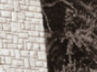 https://image.noelshack.com/fichiers/2018/23/6/1528560115-14-h0z4w10i.png
