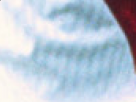 https://image.noelshack.com/fichiers/2018/23/6/1528561021-44-f04lhrxg.png