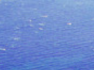 https://image.noelshack.com/fichiers/2018/23/6/1528562565-3-5rf93fv4.png