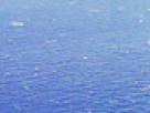 https://image.noelshack.com/fichiers/2018/23/6/1528562565-4-5rf93fv4.png