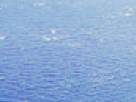 https://image.noelshack.com/fichiers/2018/23/6/1528562565-5-5rf93fv4.png