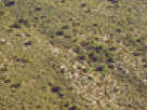 https://image.noelshack.com/fichiers/2018/23/6/1528562569-23-5rf93fv4.png