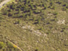 https://image.noelshack.com/fichiers/2018/23/6/1528562570-22-5rf93fv4.png