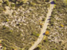 https://image.noelshack.com/fichiers/2018/23/6/1528562571-29-5rf93fv4.png