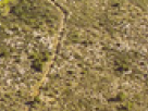 https://image.noelshack.com/fichiers/2018/23/6/1528562571-30-5rf93fv4.png