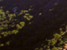 https://image.noelshack.com/fichiers/2018/23/6/1528562576-41-5rf93fv4.png