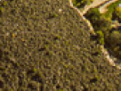 https://image.noelshack.com/fichiers/2018/23/6/1528562581-53-5rf93fv4.png