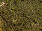 https://image.noelshack.com/fichiers/2018/23/6/1528562581-56-5rf93fv4.png