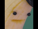 https://image.noelshack.com/minis/2018/23/7/1528653416-giphy.png
