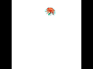 https://image.noelshack.com/minis/2018/23/7/1528653734-giphy.png