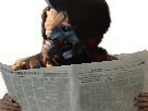 https://image.noelshack.com/fichiers/2018/24/2/1528793491-20180612-105121.png