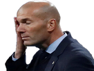 https://image.noelshack.com/fichiers/2018/24/2/1528813696-zidane-facepalm.png