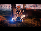 https://image.noelshack.com/fichiers/2018/24/4/1528956367-horizon-zero-dawn-tm-20180613162251.png