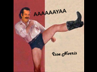 https://image.noelshack.com/fichiers/2018/24/4/1528979979-isse-norris.png