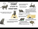 https://image.noelshack.com/fichiers/2018/24/5/1529037298-01.jpg