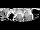 https://image.noelshack.com/fichiers/2018/24/5/1529047724-16-17-1.png