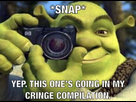 https://image.noelshack.com/minis/2018/24/5/1529056534-shrek-snap.png