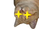 https://image.noelshack.com/minis/2018/24/5/1529074631-chat-vicieux.png