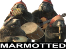 https://image.noelshack.com/minis/2018/24/6/1529129385-marmotted.png