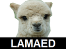 https://image.noelshack.com/minis/2018/24/6/1529165515-lamaed-03.png