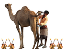 https://image.noelshack.com/minis/2018/24/6/1529165962-132fde37156f95eb3db9d0a3d950a090.png
