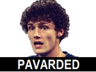 https://image.noelshack.com/fichiers/2018/24/6/1529167544-pavarded-01.png