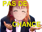 https://image.noelshack.com/minis/2018/24/6/1529173993-naerin-pasdechance.png