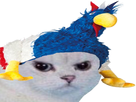 https://image.noelshack.com/fichiers/2018/24/7/1529231783-kitt-fr5.png