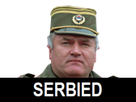 https://image.noelshack.com/fichiers/2018/24/7/1529239641-mladic-03.png