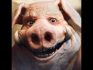 https://image.noelshack.com/fichiers/2018/24/7/1529247997-avatar.jpg