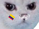 https://image.noelshack.com/fichiers/2018/25/1/1529354989-kitt2-cb2.png