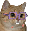https://image.noelshack.com/fichiers/2018/25/2/1529368149-ff.png