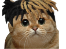 https://image.noelshack.com/fichiers/2018/25/2/1529394072-xxxtentacat.png